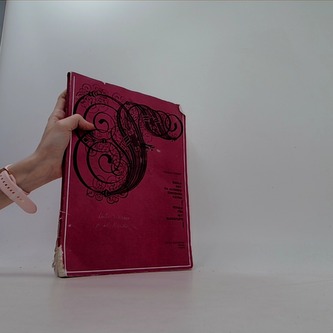 Škola hry na altovou zobcovou flétnu