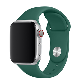 Apple Watch řemínek jednobarevný, 42/44/45/46/49mm, S (Obvod ruky 16,5 až 20,5cm), Pine needle green