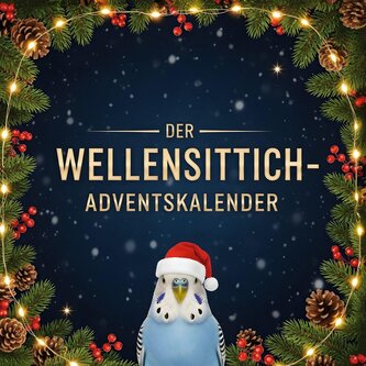 Der Wellensittich-Adventskalender
