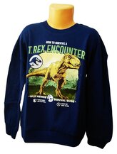 Chlapecká mikina JURSKÝ SVĚT T-Rex přes hlavu modrá, velikost: 152