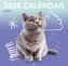 Nástěnný kalendář 2026 16 měsíců: Kočky a koťata (30 x 30|60 cm)