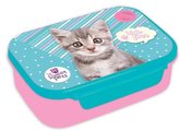 Pojemnik na śniadanie The Sweet Pets Kot