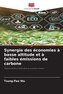 Synergie des économies à basse altitude et à faibles émissions de carbone