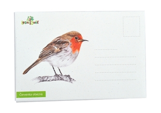 Lesní svět Puzzle do kapsy - Červenka