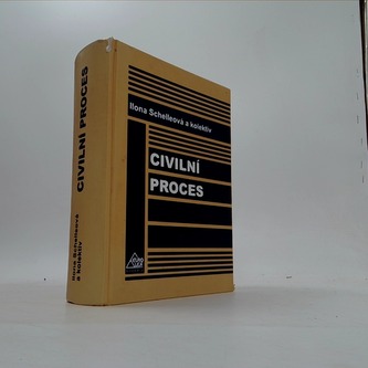 Civilní proces