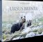 Ursus Brenta - Die Rückkehr der Bären in die Alpen