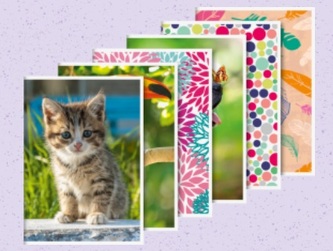 Bloček A6 32 listů, zvířátka