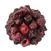 Třešně lyofilizované váha 100g