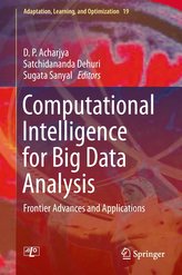Computational Intelligence for Big Data Analysis