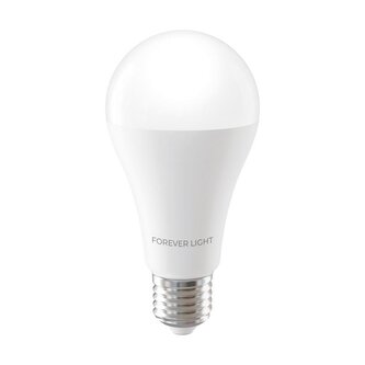 LED žárovka Forever E27 A65 17W neutrální bílá