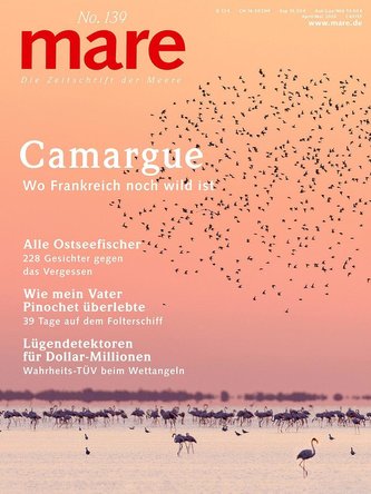 mare No. 139. Camargue