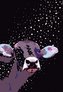 Notes Gee Milky Way linia NARCISSUS