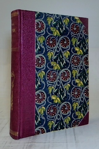 Drak, román z bosenského povstání