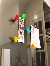 Magnetky Motýlci – sada 12 ks (mix barev)