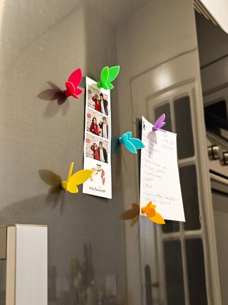 Magnetky Motýlci – sada 12 ks (mix barev)