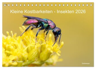 Kleine Kostbarkeiten Insekten (Tischkalender 2026 DIN A5 quer), CALVENDO Monatskalender