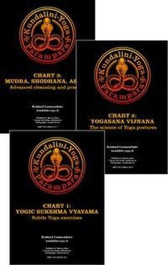 Paket Yogacharts