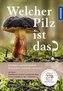 Welcher Pilz ist das?