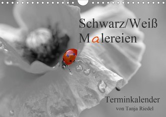 Schwarz-Weiß Malereien Terminkalender von Tanja Riedel für die SchweizCH-Version  (Wandkalender 2021 DIN A4 quer)