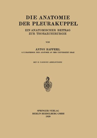 Die Anatomie der Pleurakuppel