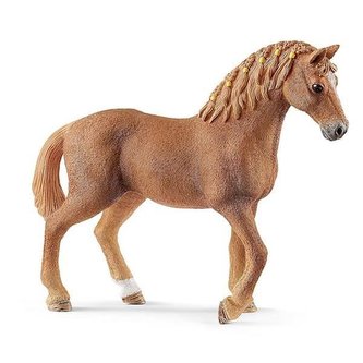 Kobyla plemena Quarter