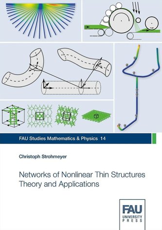Networks of Nonlinear Thin Structures Theory and Applications