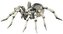 tarantule