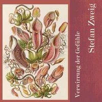 Verwirrung der Gefühle