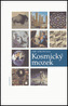 Kosmický mozek