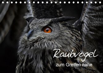 Raubvögel zum Greifen nahe (Tischkalender 2020 DIN A5 quer)