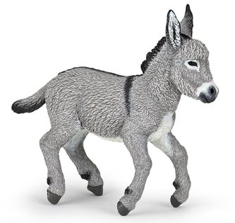 Osel hříbě