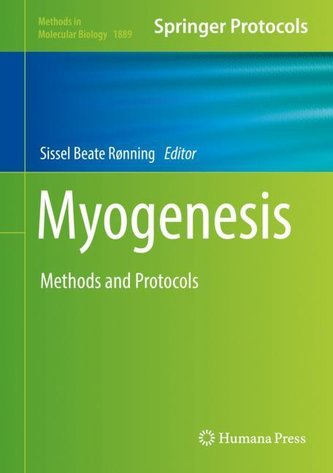 Myogenesis