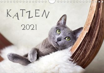 Katzen 2021 (Wandkalender 2021 DIN A4 quer)