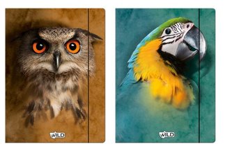 Teczka z gumką A4 Wild 2 wzory