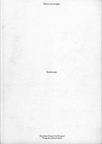 Miriam Sturzenegger Reliefenrgie