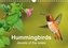 Hummingbirds Jewels of the skies (Wall Calendar 2021 DIN A4 Landscape)