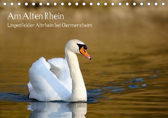 Am Alten Rhein - Lingenfelder Altrhein bei Germersheim (Tischkalender 2021 DIN A5 quer)
