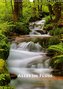 Alles im Fluss - Schwarzwaldwasser (Wandkalender 2020 DIN A3 hoch)