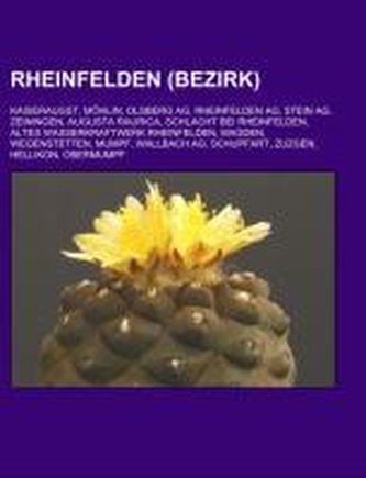 Rheinfelden (Bezirk)