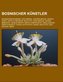 Bosnischer Künstler