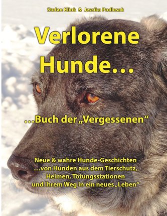 Verlorene Hunde...Buch der Vergessenen