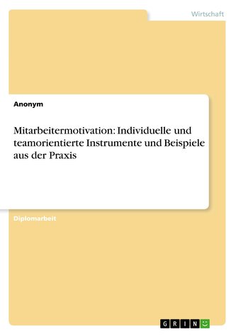 Mitarbeitermotivation: Individuelle und teamorientierte Instrumente und Beispiele aus der Praxis