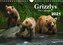Grizzlys - The Calendar UK-Version (Wall Calendar 2021 DIN A4 Landscape)