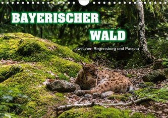 Bayerischer Wald (Wandkalender 2021 DIN A4 quer)