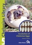 Incubation of Chelonian Eggs