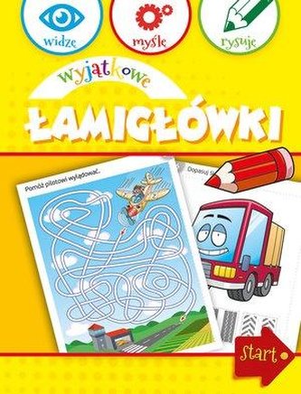 Widzę, myślę, rysuję. Wyjątkowe łamigłówki