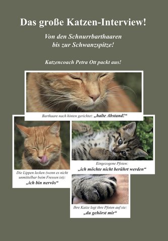 Das große Katzen-Interview!