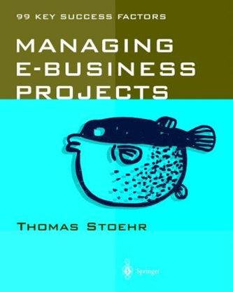 Managing e-Business Projects