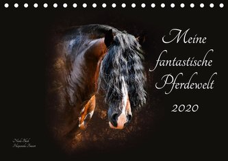 Meine fantastische Pferdewelt (Tischkalender 2020 DIN A5 quer)