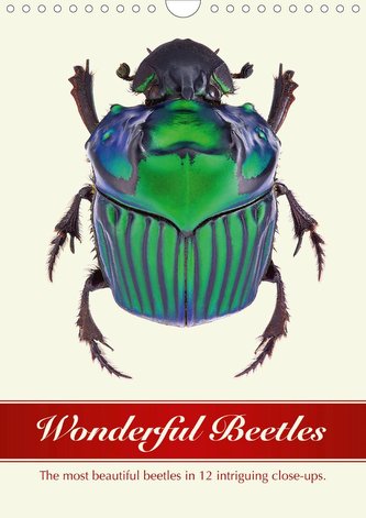Wonderful Beetles (Wall Calendar 2021 DIN A4 Portrait)